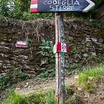 Near - Cinque Terre Holiday *