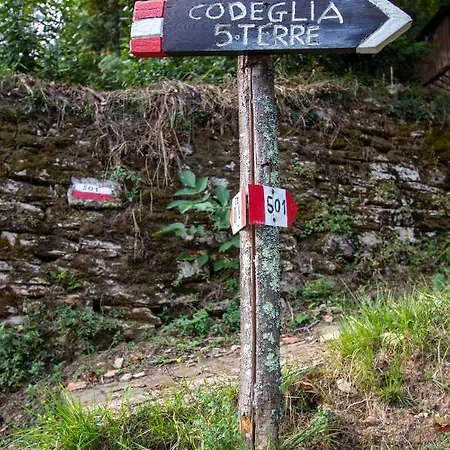 Near - Cinque Terre Holiday *